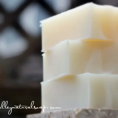 Coconut_Bars_NEW__79297